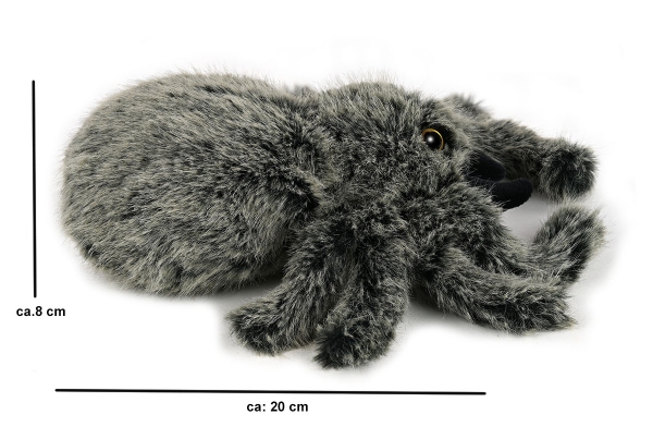 Tarantel, große schwarze Spinne